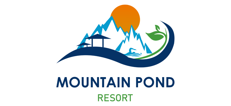 website logo